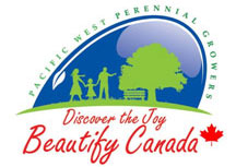 Beautify