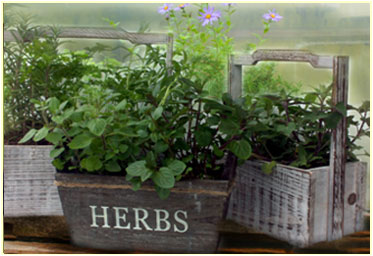 Herb Basket